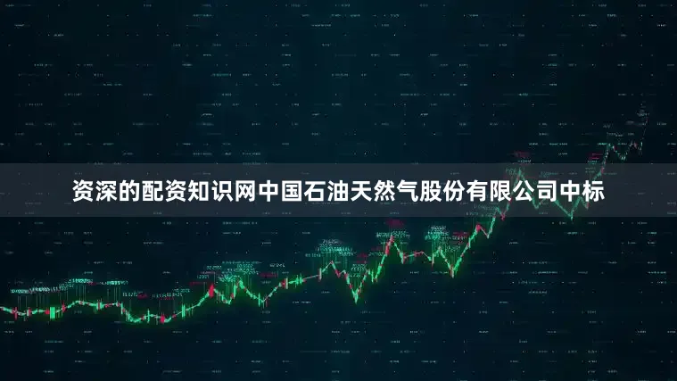 资深的配资知识网中国石油天然气股份有限公司中标