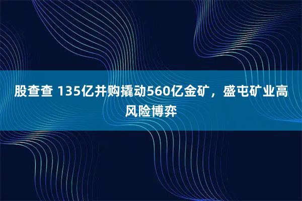 股查查 135亿并购撬动560亿金矿，盛屯矿业高风险博弈