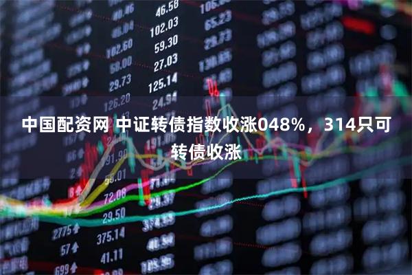 中国配资网 中证转债指数收涨048%,314只可转债收涨