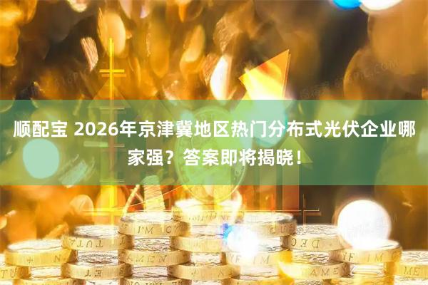顺配宝 2026年京津冀地区热门分布式光伏企业哪家强？答案即将揭晓！