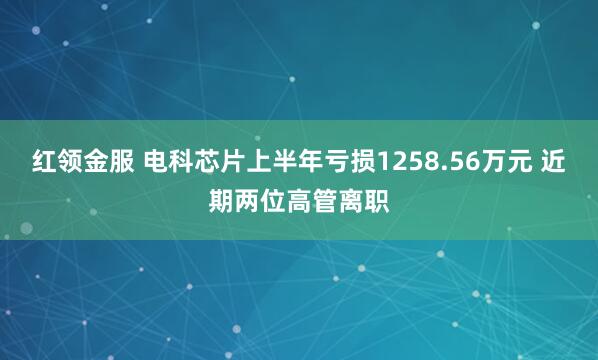 红领金服 电科芯片上半年亏损1258.56万元 近期两位高管离职